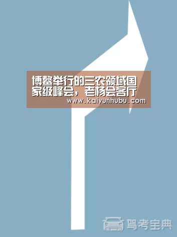 博鳌举行的三农领域国家级峰会,老杨会客厅元素贯穿始终- 即时比分入口(图1) 开云