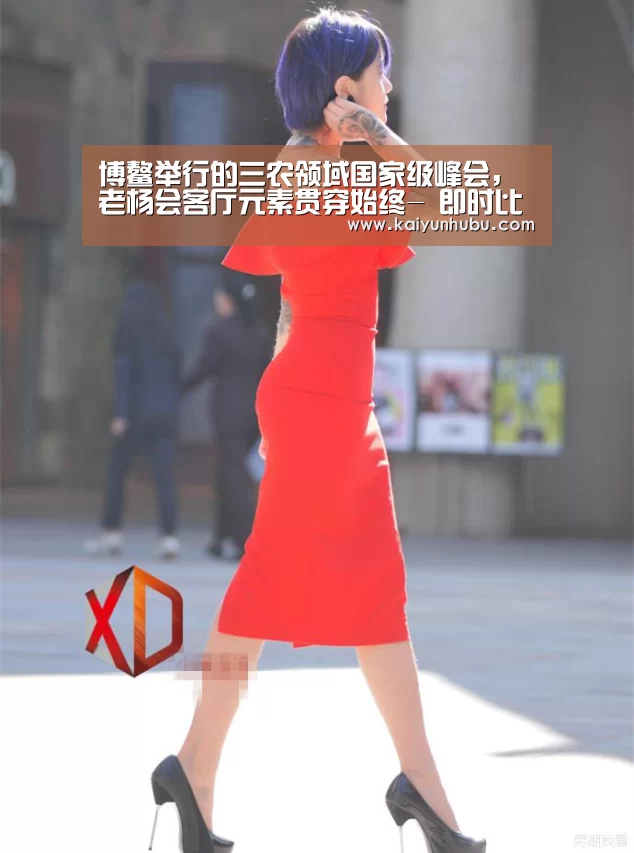 博鳌举行的三农领域国家级峰会,老杨会客厅元素贯穿始终- 即时比分入口(图3) 即时比分入口